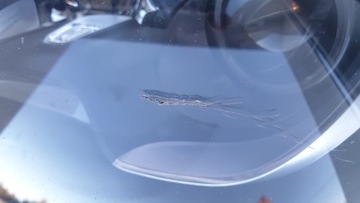фото thumb №10, Mercedes sl r231 w231 231 лампа передня ліва