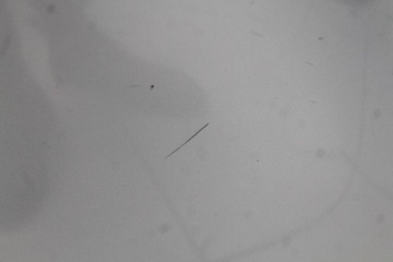 фото thumb №6, Renault scenic iii 09r- капот крышка двигателя ted69