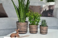 12 цветочных горшков RUSTY BARK на подставке с эффектом дерева.