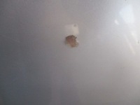 фото thumb №2, Капот mazda 3 bk 22v