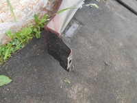 фото thumb №7, Opel meriva a hb z594 5d крила перед правий