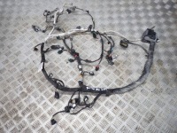 фото thumb №1, Жгут двигателя 3.3 ford f150 2018-