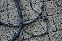 фото thumb №12, Джгут pdc парктронік volkswagen оригінальний номер 3g5971104e