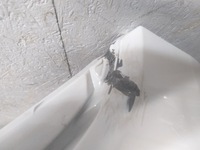 фото thumb №5, Бампер перед renault clio iv 4 lift