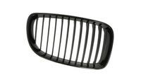 фото thumb №1, Решётка bmw 1 e81 e87