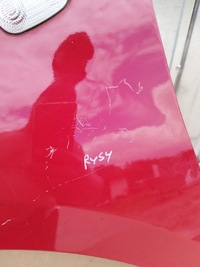 фото thumb №8, Крыло левый перед alfa romeo mito 2008-2016 цвет 289/a оригинал