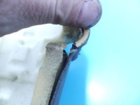 Захист насоса кондиціонера tesla model s 12-16 Недорого, фото thumb