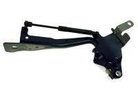 фото thumb №1, Петля капот renault scenic iii правый