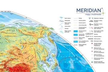 НАСТЕННАЯ КАРТА МИРА XXL ДЕРЕВЯННЫЕ ПОЛУРОЛИКИ