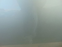 фото thumb №9, Двері правий перед ford b-max колір mc