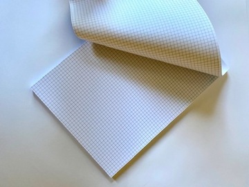 Офисный блок Школьная тетрадь А4 100 листов Arko-Papier