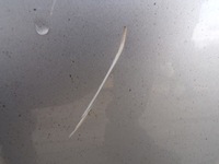 фото thumb №8, Капот крышка двигателя opel zafira b с wygłuszeniem цвет z157 1