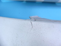 фото thumb №14, Бампер перед volvo v50 04-07 сріблястий