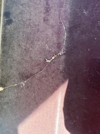 фото thumb №10, Бампер hyundai i10 ii 2 рестайлинг 16-