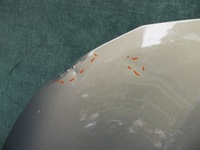 фото thumb №9, Капот кришка двигуна toyota corolla e21 універсал hb 2018-