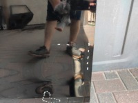 Дверь range rover evoque ii 18- перед левый Недорого, фото thumb