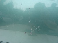 фото thumb №3, Дверь передние перед левая opel zafira a