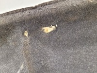 фото thumb №6, Honda civic viii ufo полиця задня 06-11r