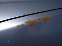 фото thumb №15, Honda civic 7 vii eu7 3/5d 01- крыло левый перед передний nh623m