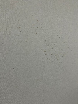 фото thumb №10, Seat ibiza 6f 18-22r потолок 6f0867501g