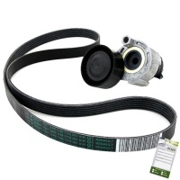 Купить Натяжитель ремень многоручьевой к renault 117203694r, фото thumb