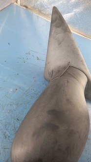 фото thumb №4, Зеркало левая renault laguna 96r