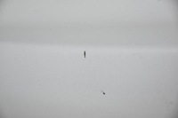 фото thumb №8, Крышка багажника задняя задняя skoda yeti lift la7w