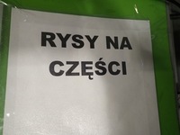 фото thumb №13, Бампер задній audi a4 b6 sedan 01r