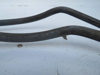 фото thumb №8, Дроти пального volvo xc60 31336161