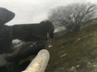 фото thumb №2, Двері праве задні правий задня citroen c3 ii