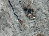 фото thumb №11, Bmw 2 f45 бампер задняя задний pdc