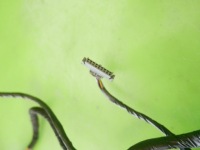 фото thumb №8, Жгут электропроводка дверь левая перед opel astra j iv 5d 09-12