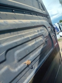 Купити Стіна перегородкова перегородка sprinter 907, фото thumb