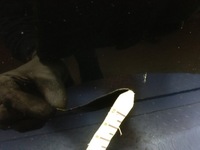 фото thumb №12, Bmw 1 e87 двері перед ліва black sapphire металік 475