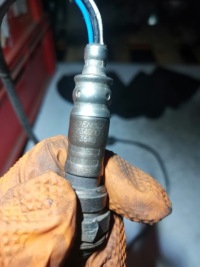 Датчик лямбда-зонд 2340003640 tarnów в Украине, фото thumb