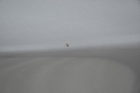 фото thumb №7, Дверь передние перед правое infinity q70 y51 sedan