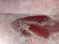 фото thumb №12, Volvo v60 ii 2 s60 iii 3 18- порог правый молдинг порог правая