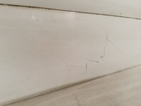 фото thumb №7, Двері передні праві partner berlingo