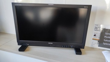 Профессиональный обзорный монитор Postium OBM-U310