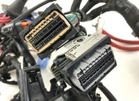 фото thumb №9, 240803583r жгут провод двигателя nissan nv300