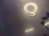 фото thumb №10, Капот крышка двигателя renault scenic ii 2 k: ov460