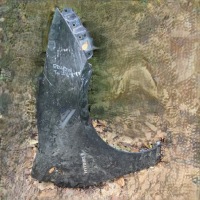 фото thumb №1, Крыло передний правый toyota prius iv 2015-19r