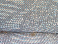 фото thumb №9, Сиденье лавка пассажира ford transit v