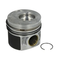 фото thumb №1, Поршень nural