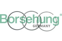 фото thumb №2, Набір кілець поршня b19037 borsehung