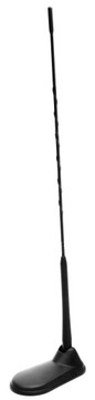 CB ANTENNA PRESIDENT НЬЮ-ЙОРК ШОРТ ВИРДЖИНИЯ ZN8