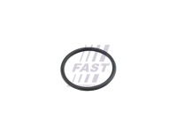 Купить Уплотнительное кольцо ford transit 06 насоса воды ft49920 fast, фото thumb