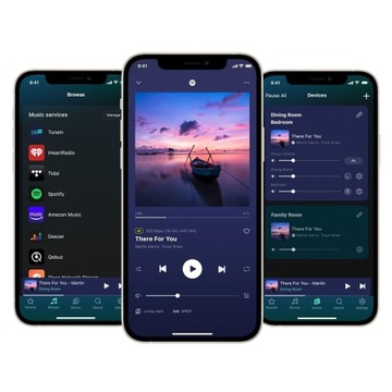 СЕТЕВОЙ ПЛЕЕР WIIM PRO PLUS AIRPLAY 2