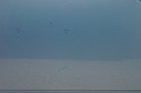 фото thumb №7, Дверь левый перед subaru justy iv 07- b57