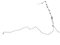 фото thumb №4, Шланг тормозной alfa romeo giulia